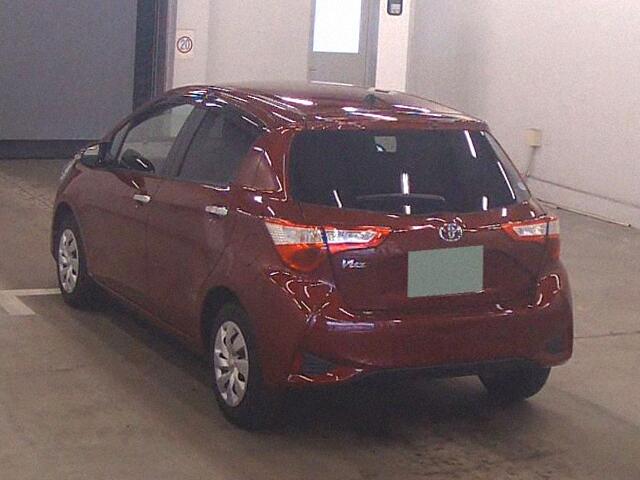 Toyota Vitz 2019 Wine